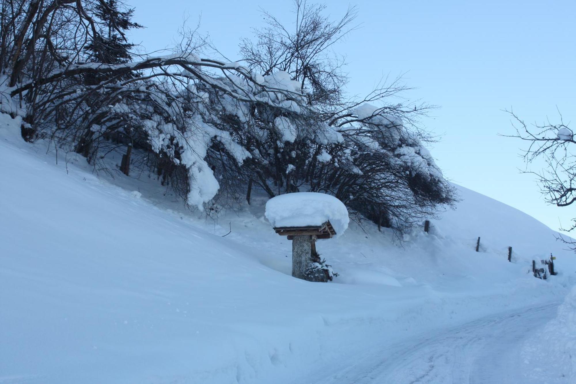 Apartmán Holzlehenhof Sankt Johann im Pongau Exteriér fotografie